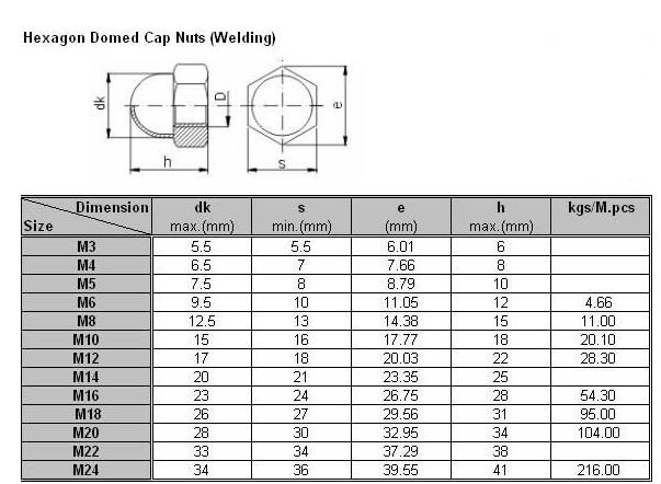 stainless steel acorn cap nuts