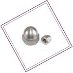 Duplex 2205 Cap Nuts