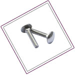 Duplex Stainless Carriage Bolts