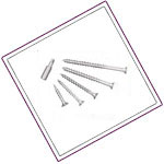 UNS S32205 / S31803 Construction screws