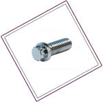 Duplex Stainless Ferry Cap Screws