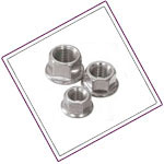 Duplex 2205 Flange Nuts