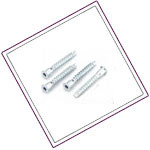 UNS S32205 / S31803 Furniture Screw