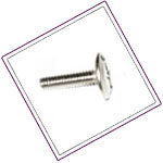Duplex Stainless Hurricane Bolts