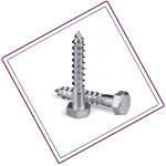 Duplex Stainless Lag Bolt