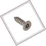 UNS S32205 / S31803 Security head screw