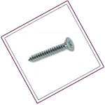 UNS S32205 / S31803 Self Tapping Screw