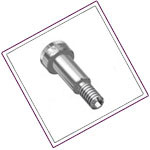 Duplex Stainless Shoulder Bolt