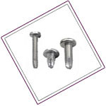 UNS S32205 / S31803 Thread Cutting Screw