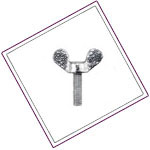 UNS S32205 / S31803 Thumb & Wing Screws