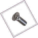 Duplex Stainless Track Bolts