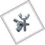 Duplex 2205 Wing Nuts
